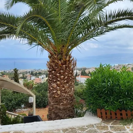 Sun Shine Senior Full View 3*